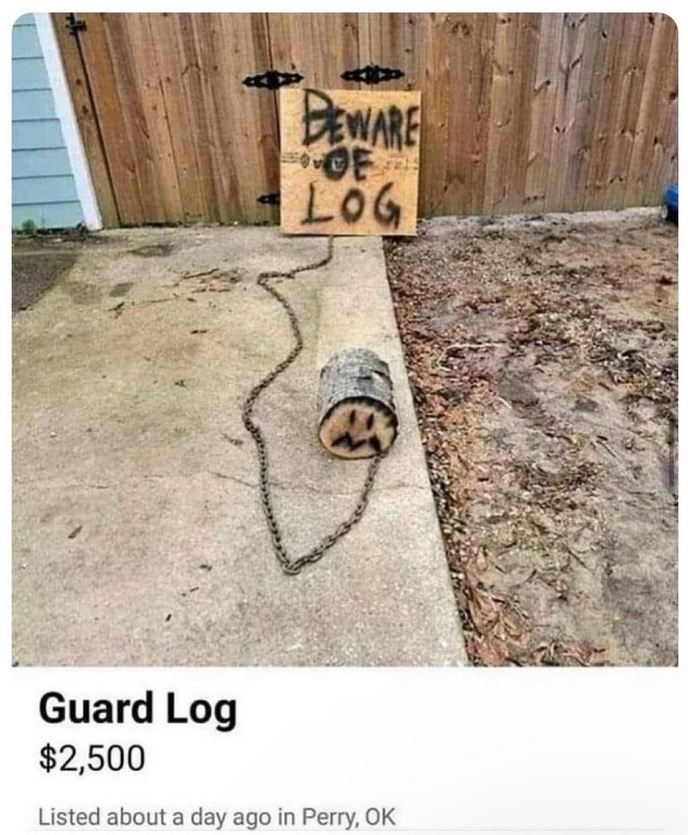 guard_log