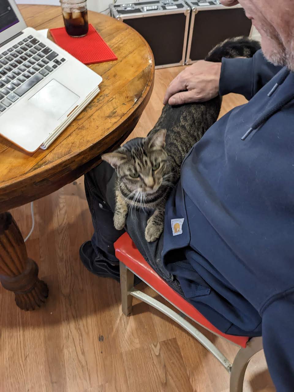 lap_cat