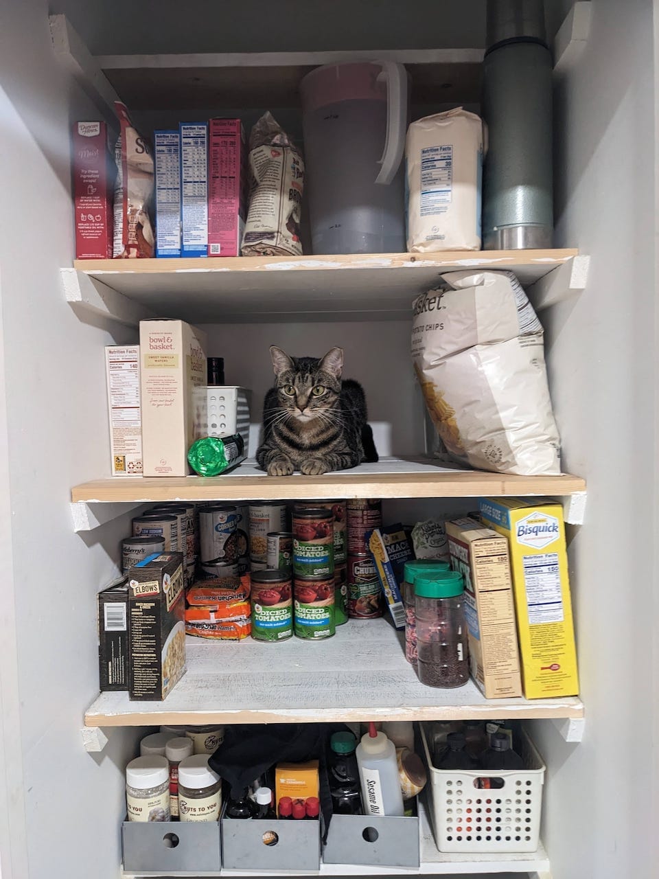 pantry_cat